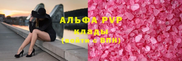 PSILOCYBIN Заволжье