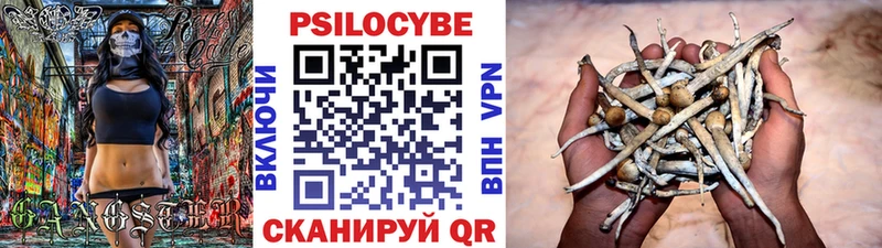 Галлюциногенные грибы прущие грибы  Купить закладки  Карпинск 